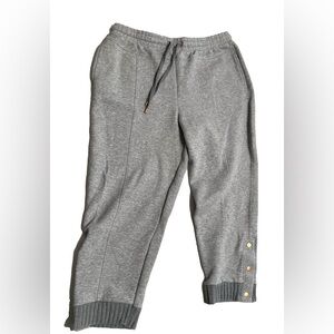 Saturday Sunday by Anthropologie grey Terry Cropped Dylan Joggers Size Large